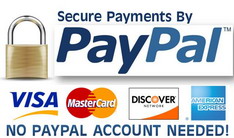 Secure payments by PayPal